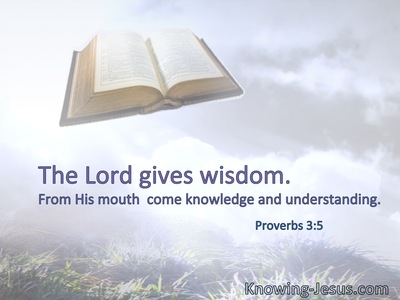 The Lord gives wisdom; from His mouth  come knowledge and understanding.